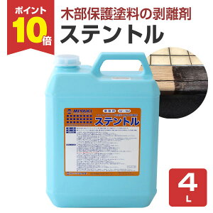 yP10{Iz ~L Xeg 4L ؕیh̔ ICXeCnh̔ (͔ t^Cv)