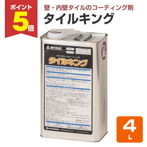 y11/17P5{z y^CpR[eBO܁z ~L ^CLO 4L OǁEǃ^C̃TrEAJEQEh~ (^C t^C)