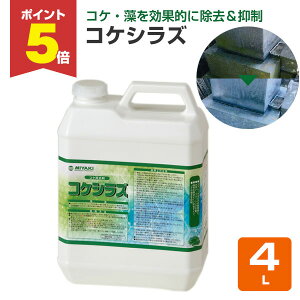 yԌP5{z yRPE}܁z ~L RPVY 4L ΍ނؐiEhʂ̃RPE (^Cv ^C K  TCfBO O  Ɩp)