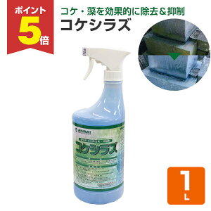 yԌP5{z yRPE}܁z ~L RPVY 1L ΍ނؐiEhʂ̃RPE (^Cv ^C K  TCfBO O  Ɩp)