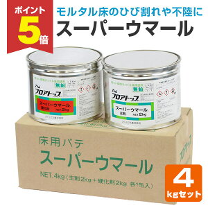 yԌP5{z Ag~NX X[p[E}[ 4kgZbg