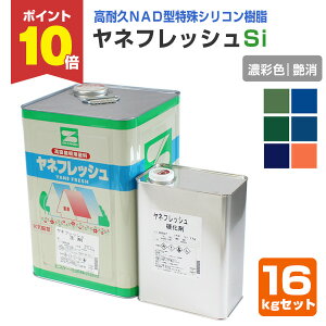 y11/15P10{z ltbVSi  ZʐF 16kgZbgiGXP[//qƌnj