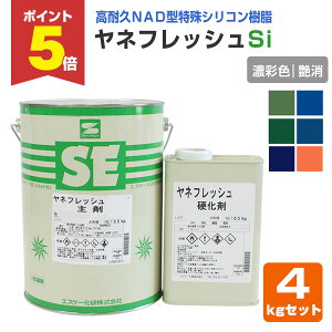 yԌP5{z ltbVSi  ZʐF@4kgZbg iGXP[//qƌnj