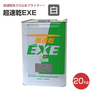 y11/1P10{z EXE  20kgiю~߃vC}[/哯hj