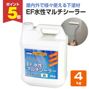 yԌP5{z yEOp h/nz EF}`V[[ 4kg  O̗lXȉӏɎg鉺h (ǎ e{[h ؕ a  @ە)