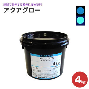 yX[p[Z[P10{z VCq ANAO[4kg S6F yVX[p[SALE