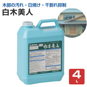 y؂̉E}܁z ؔl 4L ^Cv̐Zؕی (Jr} az OnEX O Ɩp)