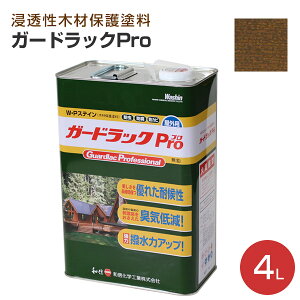 yP10{Iz aMwH K[hbNviProj S16F 4L