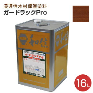 yP10{Iz aMwH K[hbNviProj S16F 4L 16L