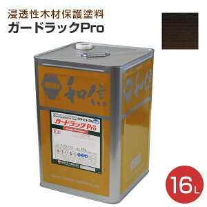 �yP10�{�I�z �a�M���w�H�� �K�[�h���b�N�v���iPro�j �S16�F 16L
