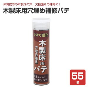 y݌ɏZ[iz ؐpߕCpe 55giؕ/ؐt[O ̈/Cj