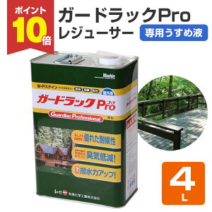 y11/10P10{z aMwH K[hbNviProj W[T[ 4L