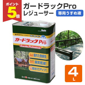 yԌP5{z aMwH K[hbNviProj W[T[ 4L