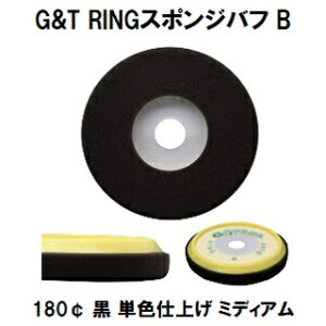 GT RINGX|WotB 180  1/E^ot VO|bV[p PFdグp@~fBAyW[AheB[ ԕCz