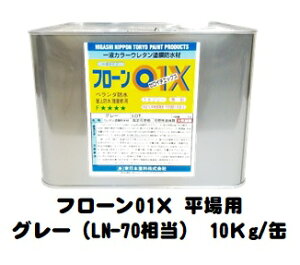 t[01X {ށipjO[iLN-70j 10Kg/ʁy1t h J[E^ {hz