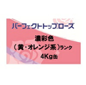 jby p[tFNggbv[Y t {hHƉZʐFiEIWje 4Kgʁy1t  L//3/5L {yCgz