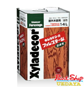 LVfR[ tHXe[W@14L@eF@ij[^Cvj KXP~J y@lΉz