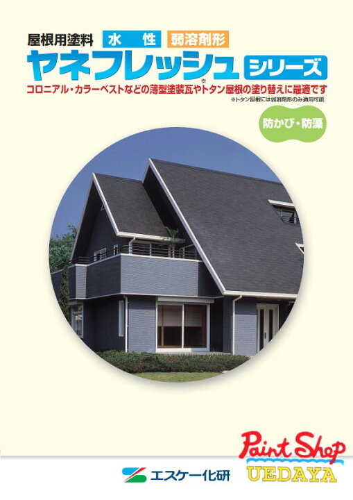楽天市場】水性ヤネフレッシュシリコン 15K B色 艶有 エスケー化研 