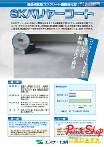 SKo[R[g@18Kg@GXP[ y@lΉz