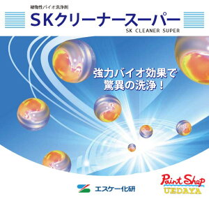 SKN[i[X[p[@5L@GXP[ y@lΉz