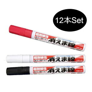 ό򐫁@ܐ@}[Np}[J[@@12{ZbgyILcz