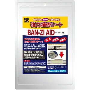 BAN-ZIAID �o���W�G�C�h 20cmX30cm 1���yBAN-ZI�z