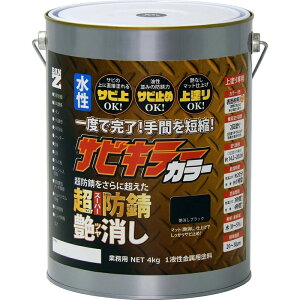 TrL[J[ ubN 4KgyBAN-ZIz