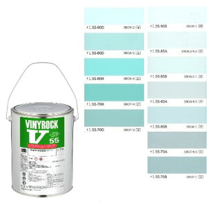 rjbN55 3kg @FiWʁjhHF{NO.45`46@031-9055ybNyCgz