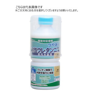 aMyCg E^jX 300ml F10ʃZbg yaMyCgz