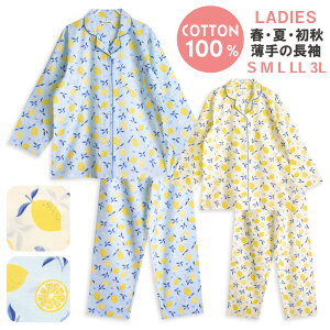 pW} fB[X 100  t  H OJ {^  ̃Vc u[  S M L LL 3L 낢 v[g ̓