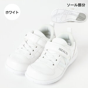 _MAX74OFF^1101:59IN[|zz ISEAL LbY V[Y Xj[J[ jp [ V[Y C q qC j̎q ̎q jp 15cm 16cm 17cm 18cm 19cm }WbNxg  w  