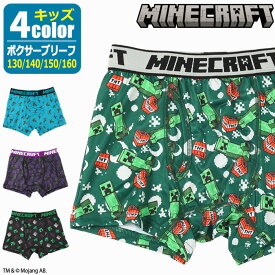 楽天市場 マイクラ パンツの通販