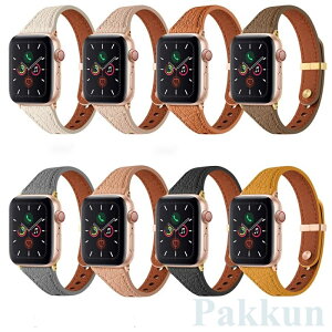Apple watch �o���h �{�v ���f�B�[�X �����Y �A�b�v���E�H�b�` �o���h series11 10 9 8 7 6 5 4 3 2 1 SE �����x���g 44mm 40mm 38mm 42mm 41mm 45mm 49mm 46mm ������
