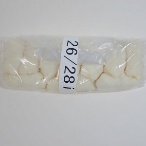 ECi[pruƖpva26`28mmp1nNiv91.5mjypCvȂzy{Hz