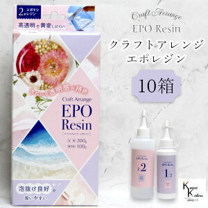 uNtgAW VG|W 300gZbg Iׂv CHEMITECH P~ebN ڒ܁@t̃vX`bN@p[cC@ڒ   n[oE IWiObY nhCh f