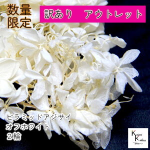 n_IvU[uht[@uAEgbg 󂠂 \tgs~bhAWTC ItzCg 2ցv Bi AEgbgi 󂠂i vU AWTC z ԍ n[oE 