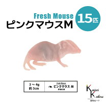 楽天市場】ピンクマウス 餌の通販
