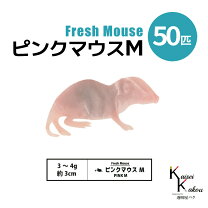 楽天市場】冷凍マウス 50の通販 送料無料 冷凍マウスリタイア50匹