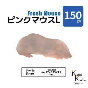 「ピンクマウスL 150匹(15袋) Biokimia 」 約4cm 5~6g 冷凍マウス 冷凍ラット フレッシュマウス フレッシュラット 冷凍餌 エサ えさ 爬虫類 両生類 猛禽類 大型魚 大型肉食魚