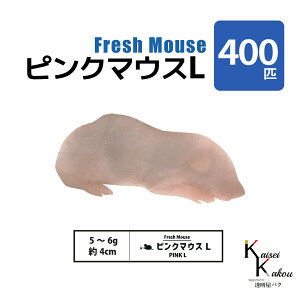 usN}EXL 400C(40) Biokimia v 4cm 5~6g Ⓚ}EX Ⓚbg tbV}EX tbVbg Ⓚa GT  ঒  ҋח ^ ^H