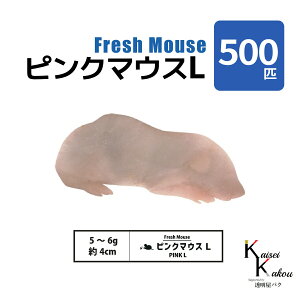 usN}EXL 500C(50) Biokimia v 4cm 5~6g Ⓚ}EX Ⓚbg tbV}EX tbVbg Ⓚa GT  ঒  ҋח ^ ^H