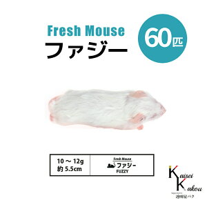 「ファジー 60匹(6袋) Biokimia 」 約5.5cm 10〜12g 冷凍マウス 冷凍ラット フレッシュマウス フレッシュラット 冷凍餌 エサ えさ 爬虫類 両生類 猛禽類 大型魚 大型肉食魚