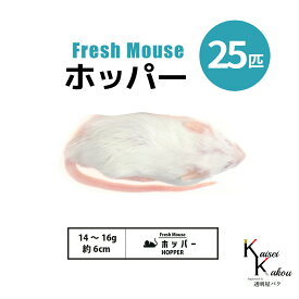 「ホッパー 25匹 Biokimia 」 約6cm 14〜16g 冷凍マウス 冷凍ラット フレッシュマウス フレッシュラット 冷凍餌 エサ えさ 爬虫類 両生類 猛禽類 大型魚 大型肉食魚