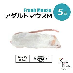 「アダルトマウスM 5匹 Biokimia 」 約7cm 20〜25g 冷凍マウス 冷凍ラット フレッシュマウス フレッシュラット 冷凍餌 エサ えさ 爬虫類 両生類 猛禽類 大型魚 大型肉食魚
