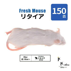 u^CA 150C(15) Biokimia v 10cm 40g+ Ⓚ}EX Ⓚbg tbV}EX tbVbg Ⓚa GT  ঒  ҋח ^ ^H