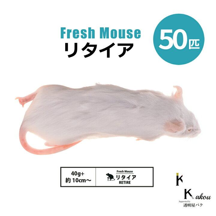 楽天市場】「マウス 50匹 選べる種類 Biokimia 」 冷凍マウス 冷凍 
