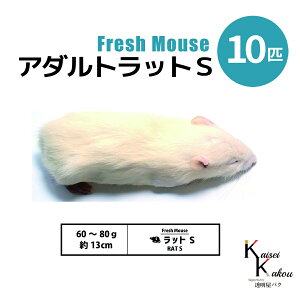 「アダルトラットS 10匹 Biokimia 」 約13cm 60〜80g 冷凍マウス 冷凍ラット フレッシュマウス フレッシュラット 冷凍餌 エサ えさ 爬虫類 両生類 猛禽類 大型魚 大型肉食魚