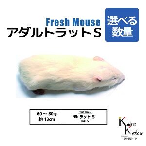 uA_gbgS Iׂ鐔 Biokimia v 13cm 60`80g Ⓚ}EX Ⓚbg tbV}EX tbVbg Ⓚa GT  ঒  ҋח ^ ^H