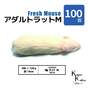 uA_gbgM 100C Biokimia v 14cm 100`120g Ⓚ}EX Ⓚbg tbV}EX tbVbg Ⓚa GT  ঒  ҋח ^ ^H