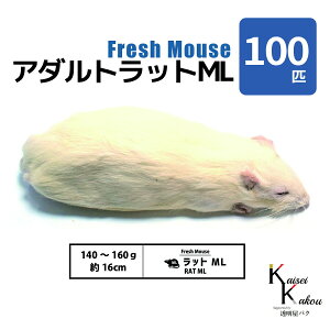 uA_gbgML 100C Biokimia v 16cm 140`160g Ⓚ}EX Ⓚbg tbV}EX tbVbg Ⓚa GT  ঒  ҋח ^ ^H